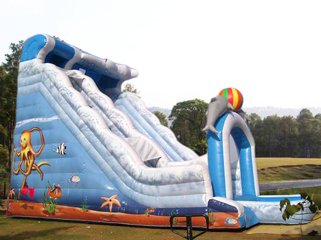Bouncy and Inflatables
